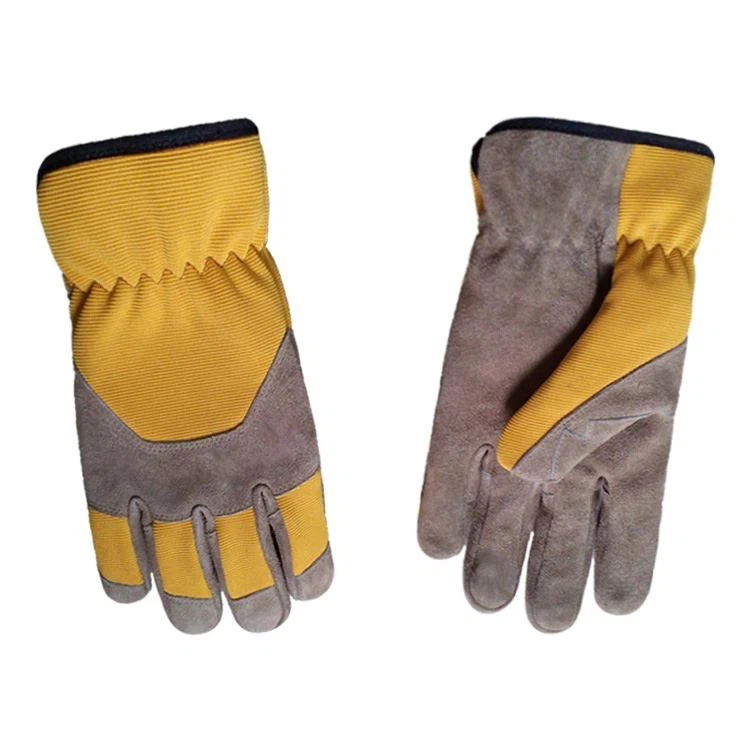 info-750-750 info-750-750