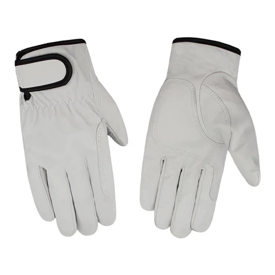 info-555-555 info-555-555