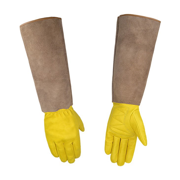 Garden Gloves Logo